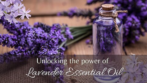 Unlocking The Power of Lavender Essential Oil