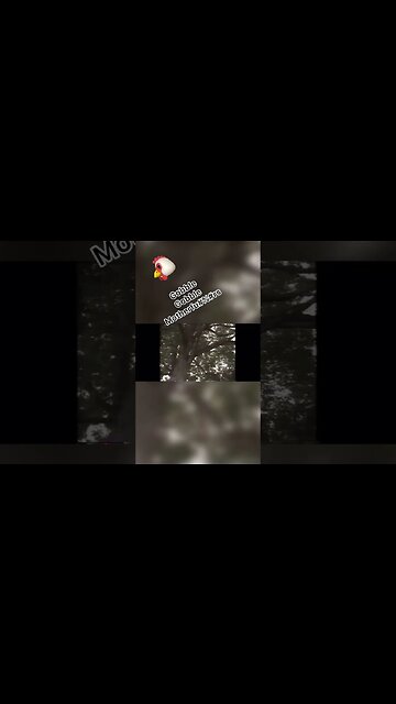 QUOTES, Founding Fathers Edition ep75 Sgt Roger Lamb on getting his a$$ kicked by Daniel Morgan