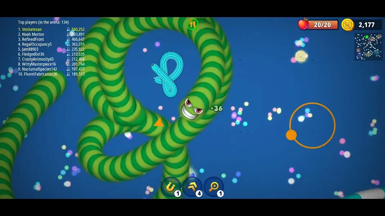 CASUAL AZUR GAMES Worms Zone .io - Hungry Snake 19