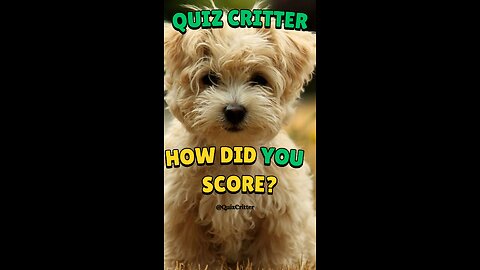 Provincial Animals 2 - Quiz Critter #shorts #animals #quiz #canada