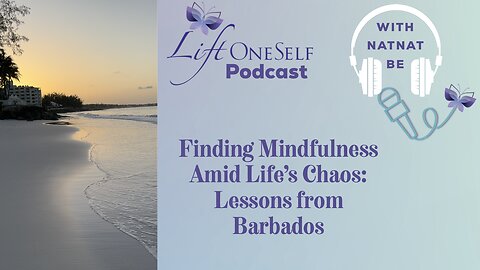 Finding Mindfulness Amid Life's Chaos: Lessons from Barbados