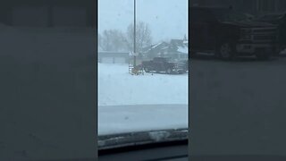 #shorts winter Storm Sheridan #shorts