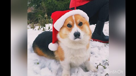 Merry Christmas 🎄🥂🎊🍾🎅☃️