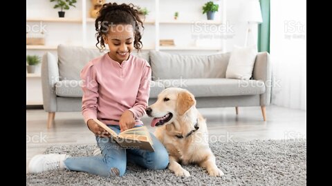 Cat and dog training amazing many e-book. Links description
