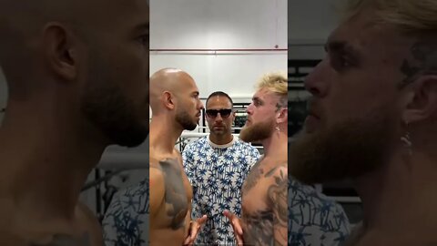 AndrewTate vs Jake Paul #andrewtate #jakepaul #jake #beef #bluepill #redpill #shorts #boxing #sports