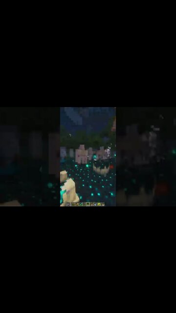 Best Minecraft Builds That Scare The Warden