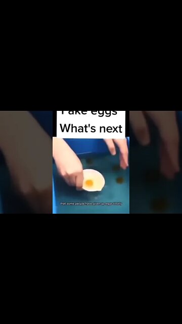 Egg