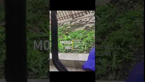Monza do leilão short 8 ep9