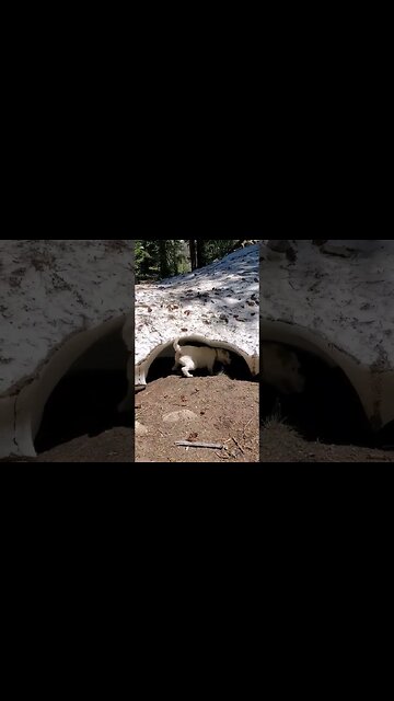 snow cave in July