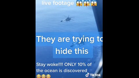 OMG!! Sea Creature/MONSTER?? WHAT?!?!