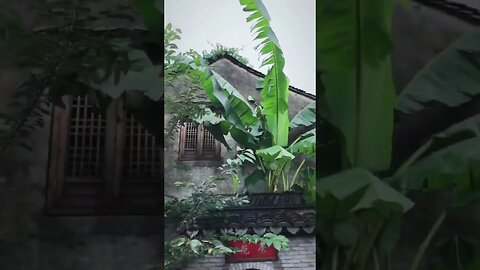 听雨可以放松心灵 #feel #rain #rainsounds #meditation #music #shorts #short