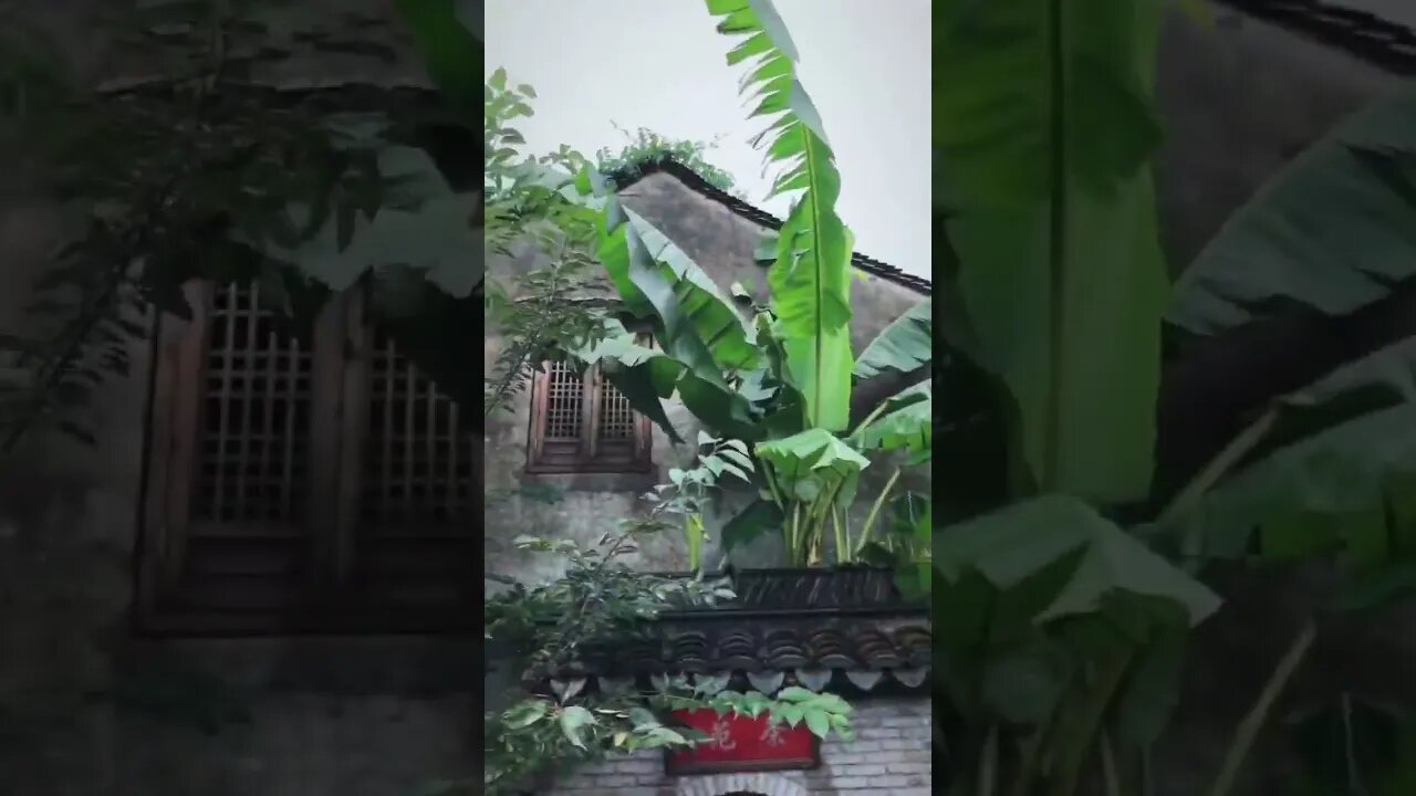 听雨可以放松心灵 #feel #rain #rainsounds #meditation #music #shorts #short