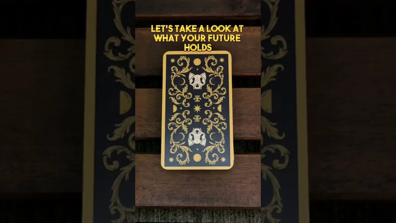 🎃15 Days🎃 Everything in moderation #cat #blakccat #leonthecatdad #tarot #halloween