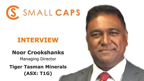 Tiger Tasman Minerals plans extensive exploration across critical minerals portfolio after ASX debut