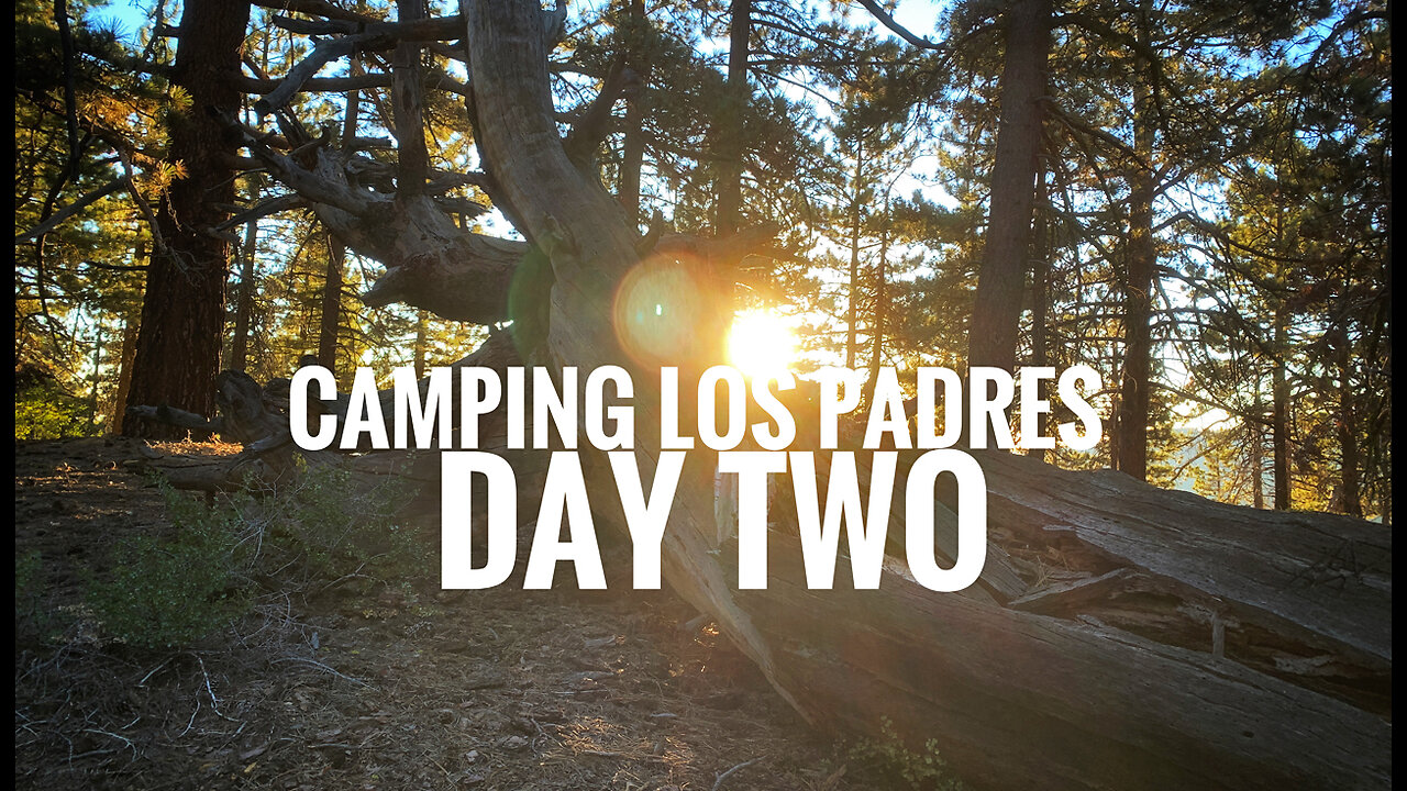 Day Two || Camping Los Padres National Forest