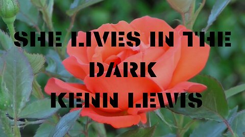 SHE LIVES IN THE DARK - KENN LEWIS