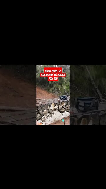 Caught A Red Devil Cichlid In Wahiawa Lake In Hawaii #fishing #hawaiifishing