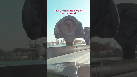 "Unveiling Life's Miracle: Your Journey from Womb to the World | Must-Watch Documentary"