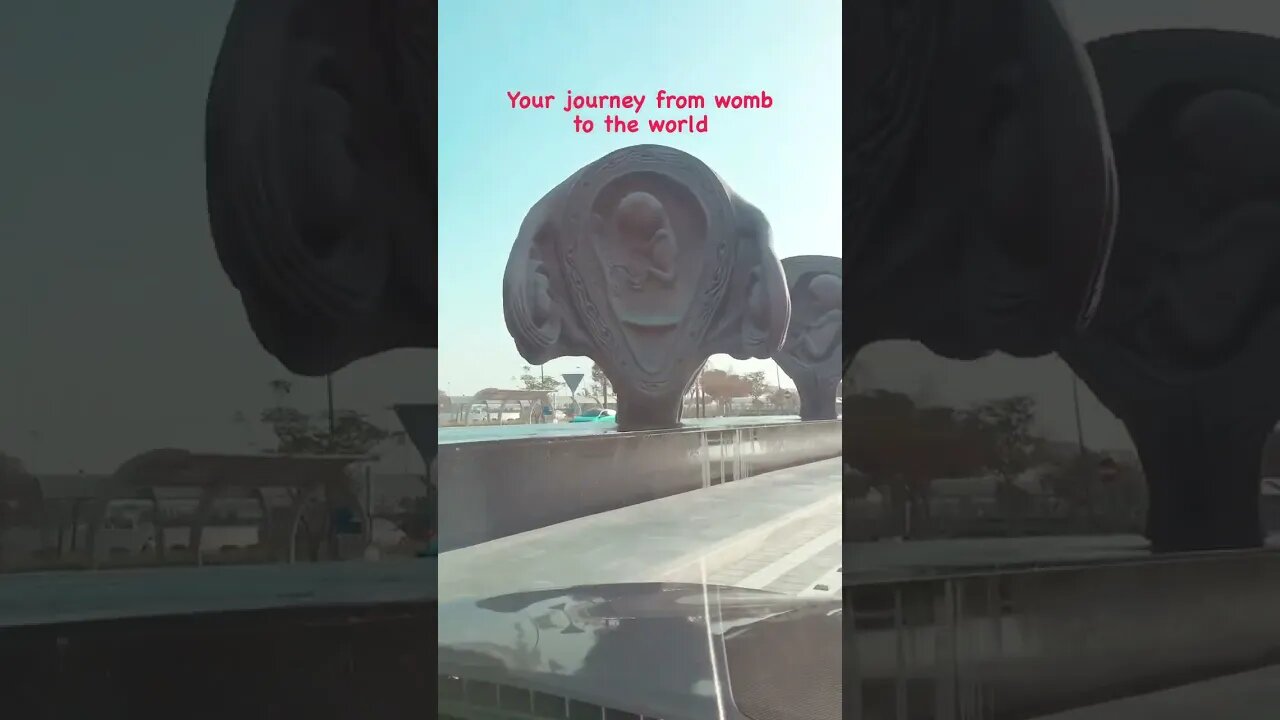 "Unveiling Life's Miracle: Your Journey from Womb to the World | Must-Watch Documentary"