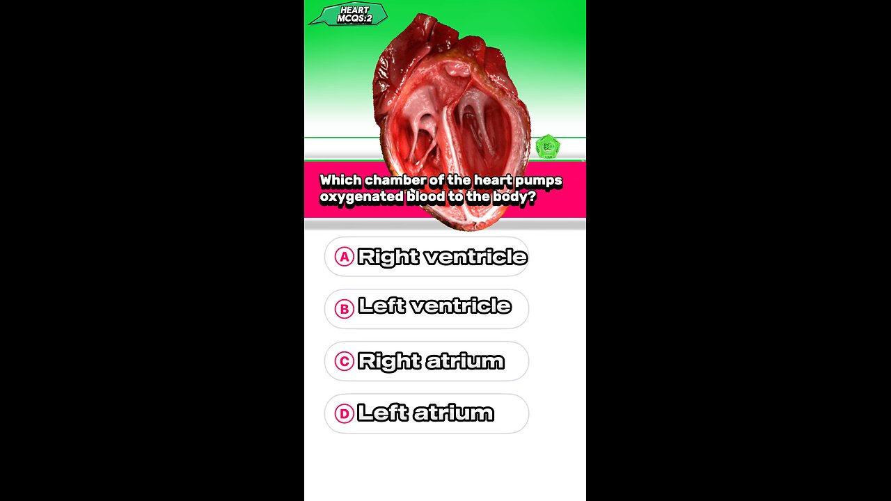 Heart question answer mcqs #disease#pharmacologyexam #3dmedico #anatomy #heartattack #blood ❤️