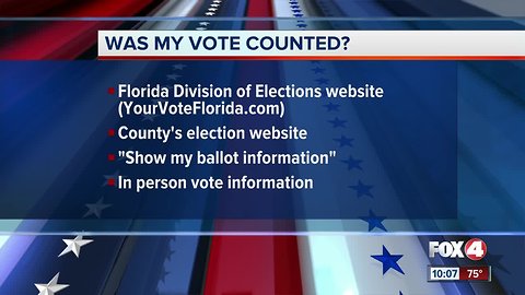 Here's how to check if your vote counted in Florida