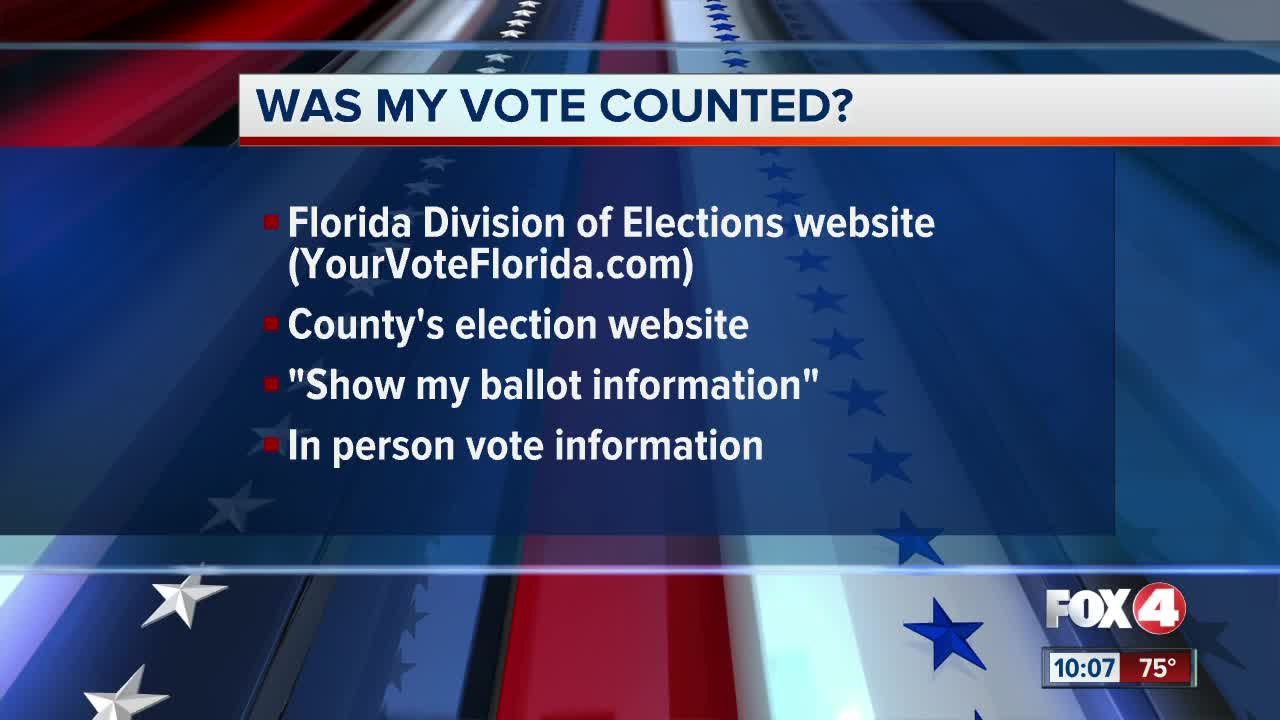 Here's how to check if your vote counted in Florida