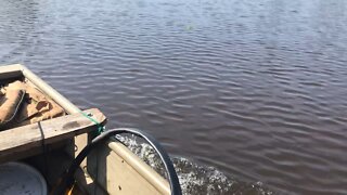 Fishing Louisiana