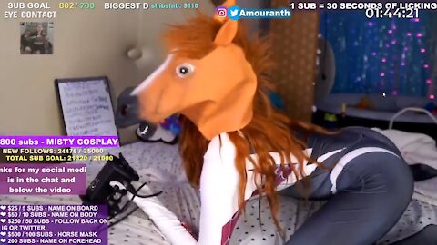 Bizarre Twitch streamer paid $500 for wearing a horse mask