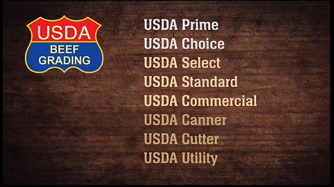 USDA BEEF GRADING