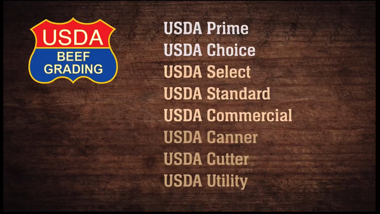 USDA BEEF GRADING