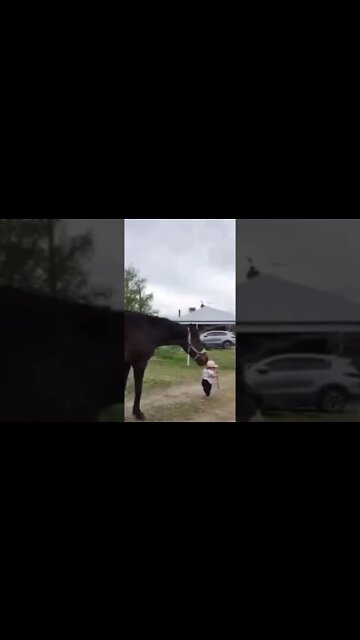 LET'S GO Horsey 😍