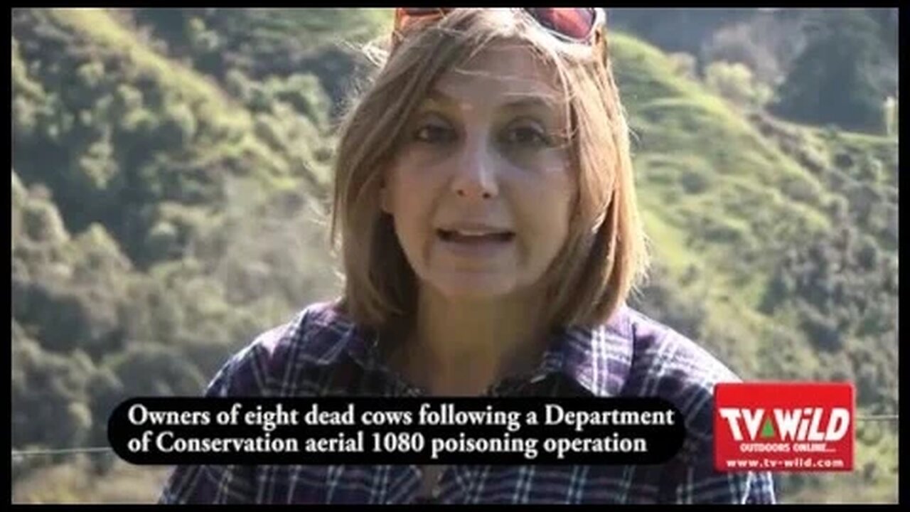 DoC 1080 Poison Drop Kills 8 Cattle - Farmers tell their story