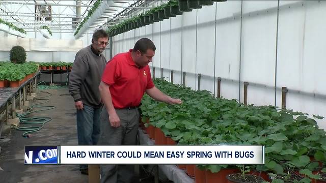 WNY's long winter could decrease spring pests