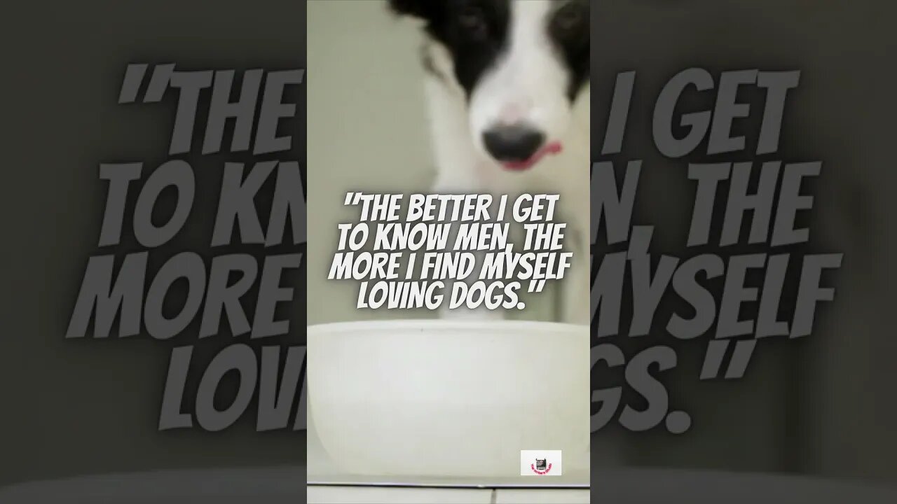 animals are always far better than Humans #truth #loyal #dogs #cats #unitedkingdom #india
