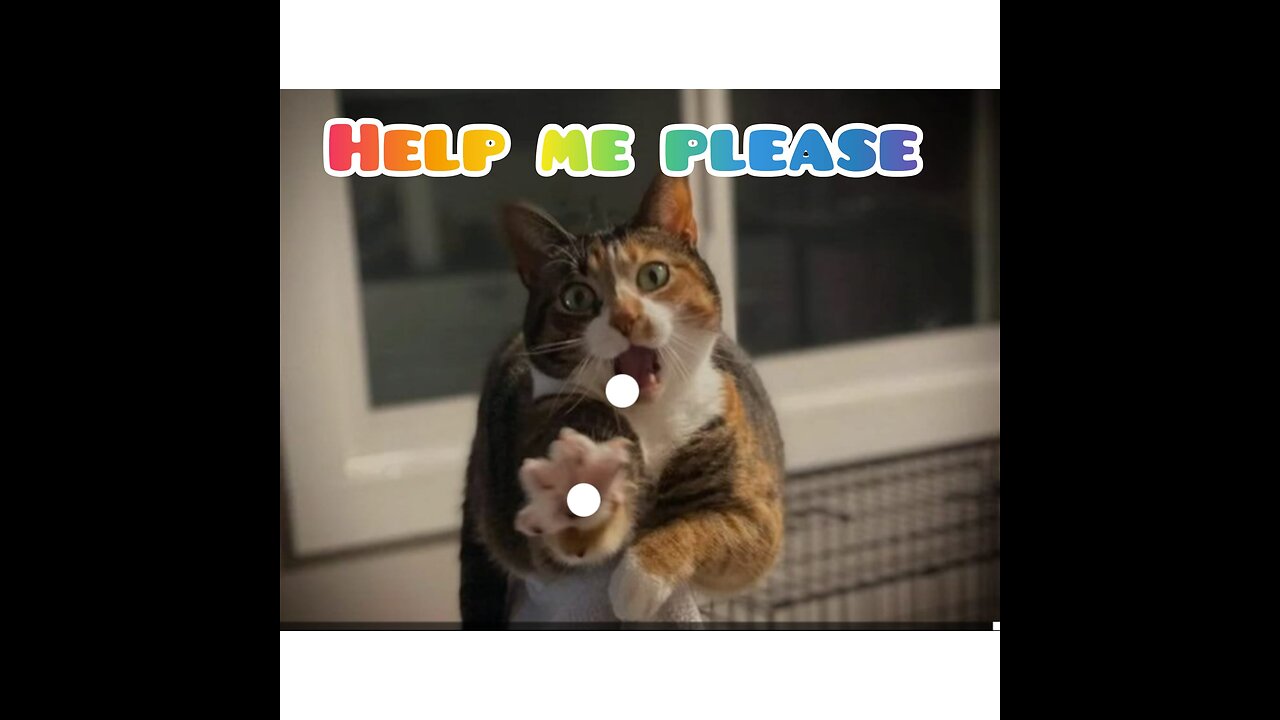 Help my Pleassseeee......