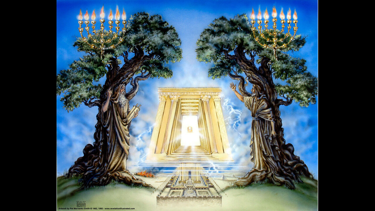 Decoding the Two Witnesses {Another Version with Additional information}