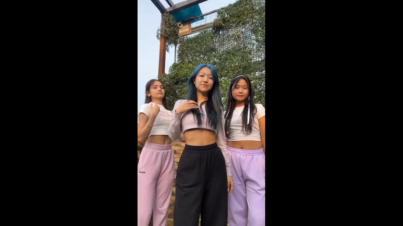 Gyal you a party animal Trending/ Viral TikTok/Reel dance by MIXDUP