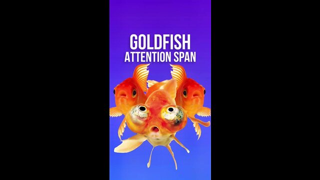Are TikToks creating a short attention span?!