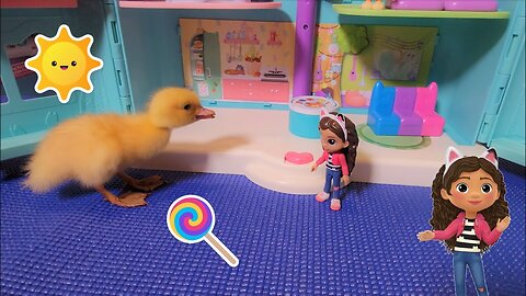 Baby Duck visiting Gabby's Dollhouse