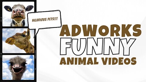 Funny animal videos 2024 🤣