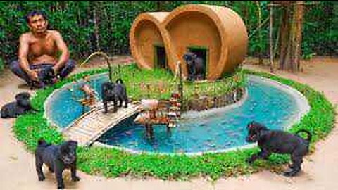 Build fish pond around Dog house - Dog Rescue - Building Dog House.