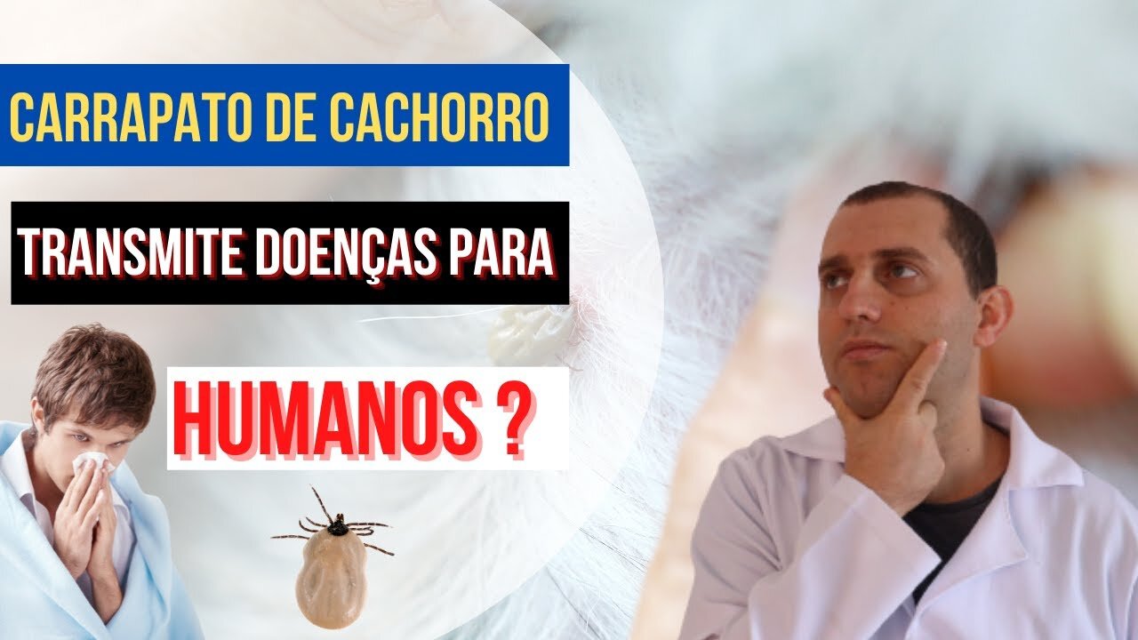 Carrapato de cachorro pode transmitir doenças para seres humanos ?