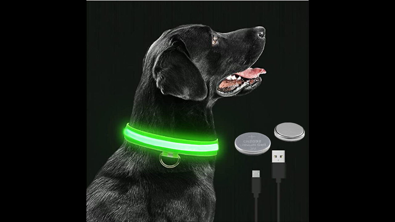 Luminous Dog Necklace LED