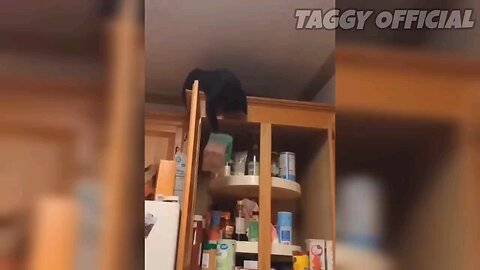 Funny fails😂😂😂😂😂