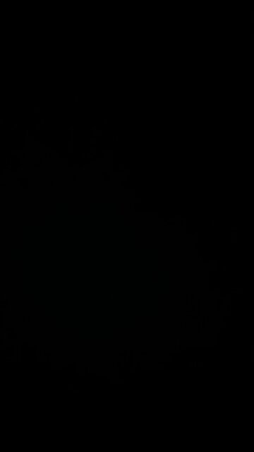 Investigate the Fed!