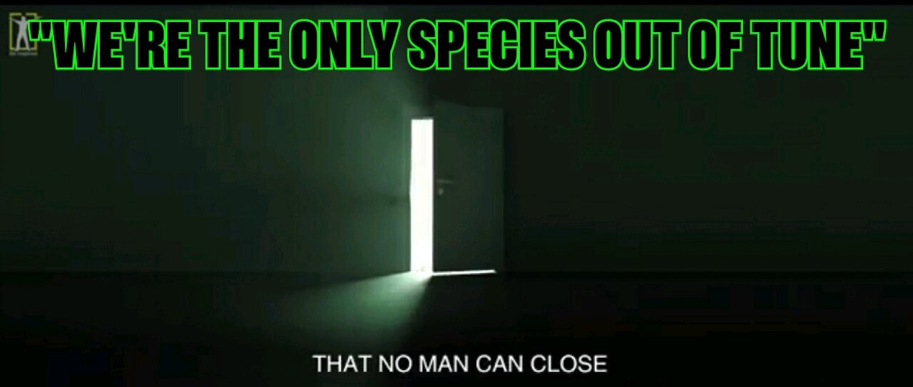 "Were the only species out of tune" 🎶
