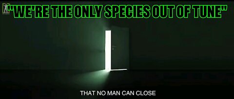 "Were the only species out of tune" 🎶