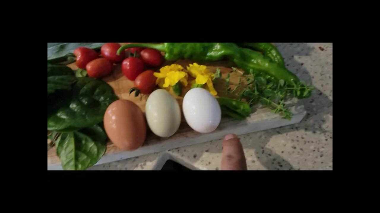 100% Backyard garden omelet. Jersey style.