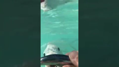 different way to fish 🐟🐟🐟🐟🐟🐠🐠