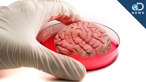 Mini Human "Brain" Grown In Lab - This was uploaded TEN YEARS AGO!